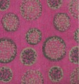 /album/boucle/s15-jpg/